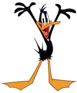 Duck