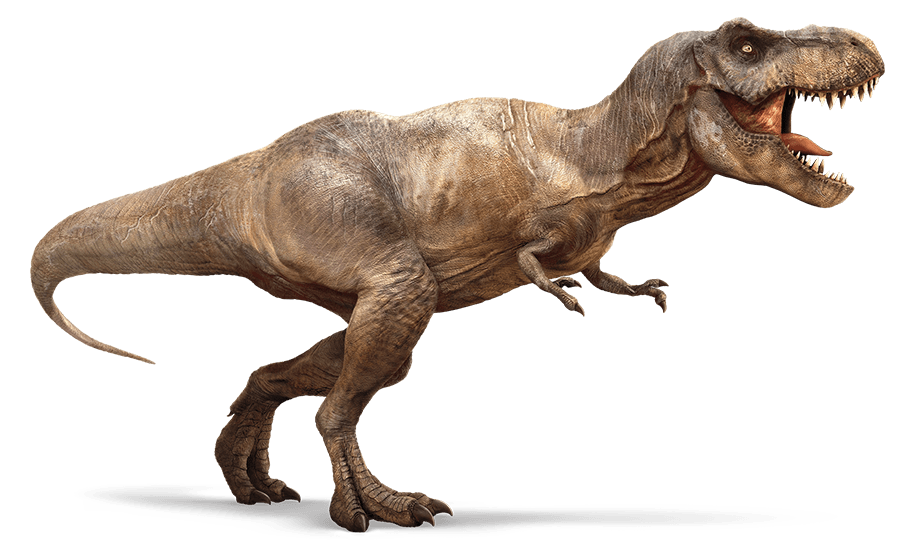 user blog adamgregory03 tyrannosaurus rex example profile