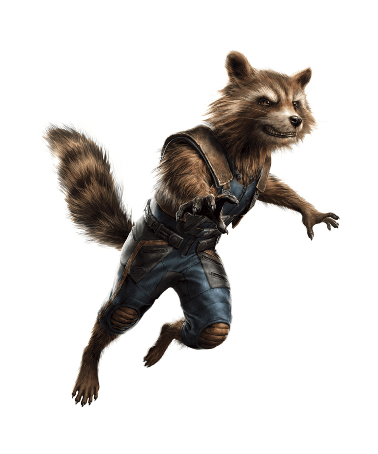 Rocket Raccoon Marvel Cinematic Universe Characters In