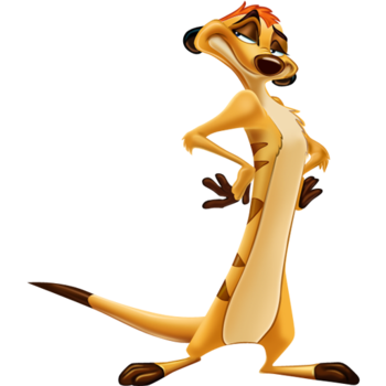 Timon-icon