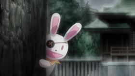Rabbit behind tree