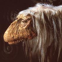 UrSu