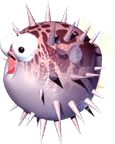 PuftupDKC