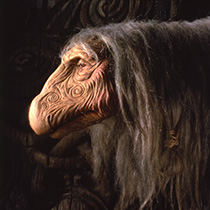 UrAmaj