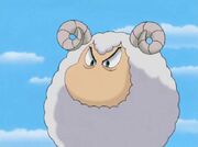 AmonSheep