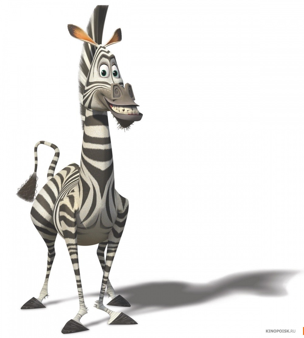 Uncategorized Marty Zebra marty madagascar fictional characters wiki fandom powered by wikia