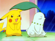 Chikorita&Pikachu