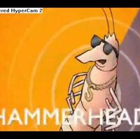 Shrimp Charlie The Unicorn Wiki Fandom