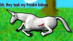 Charlie The Unicorn Wiki Fandom