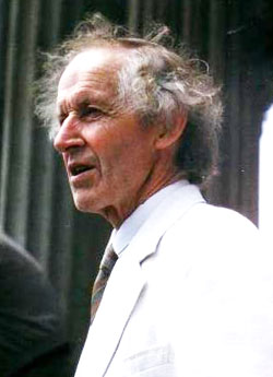 ProfDavid-Morris-RA