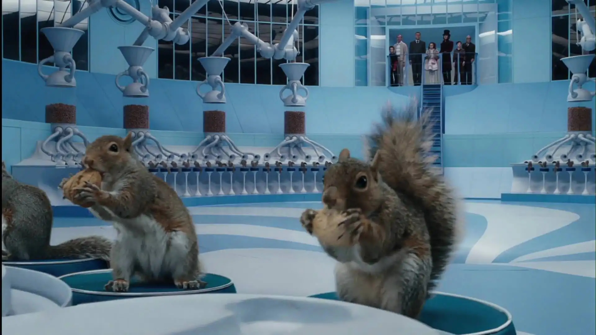Squirrels