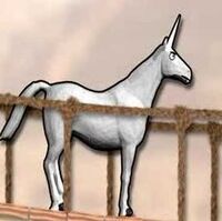 Charlie The Unicorn Character Charlie The Unicorn Wiki Fandom