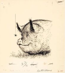 Image-1