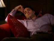 Coop perso phoebe
