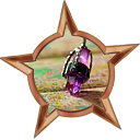 Badge-748-0