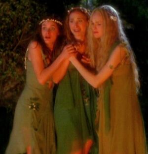 WoodNymphs
