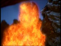 BarbasFlaming
