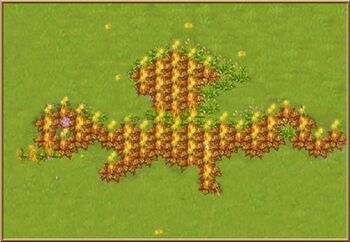 Dragonweeds1