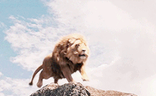 Tumblr nbax4uqVB01r2psneo8 250