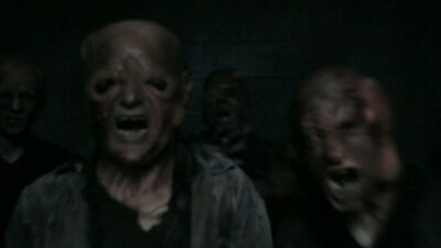 Chernobyl Diaries Wiki Fandom
