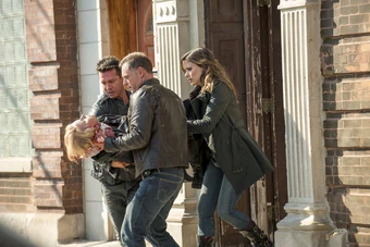 Stepping Stone Chicago Pd Wiki Fandom