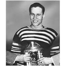 Gardinervezina