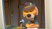 Dog-Announcer