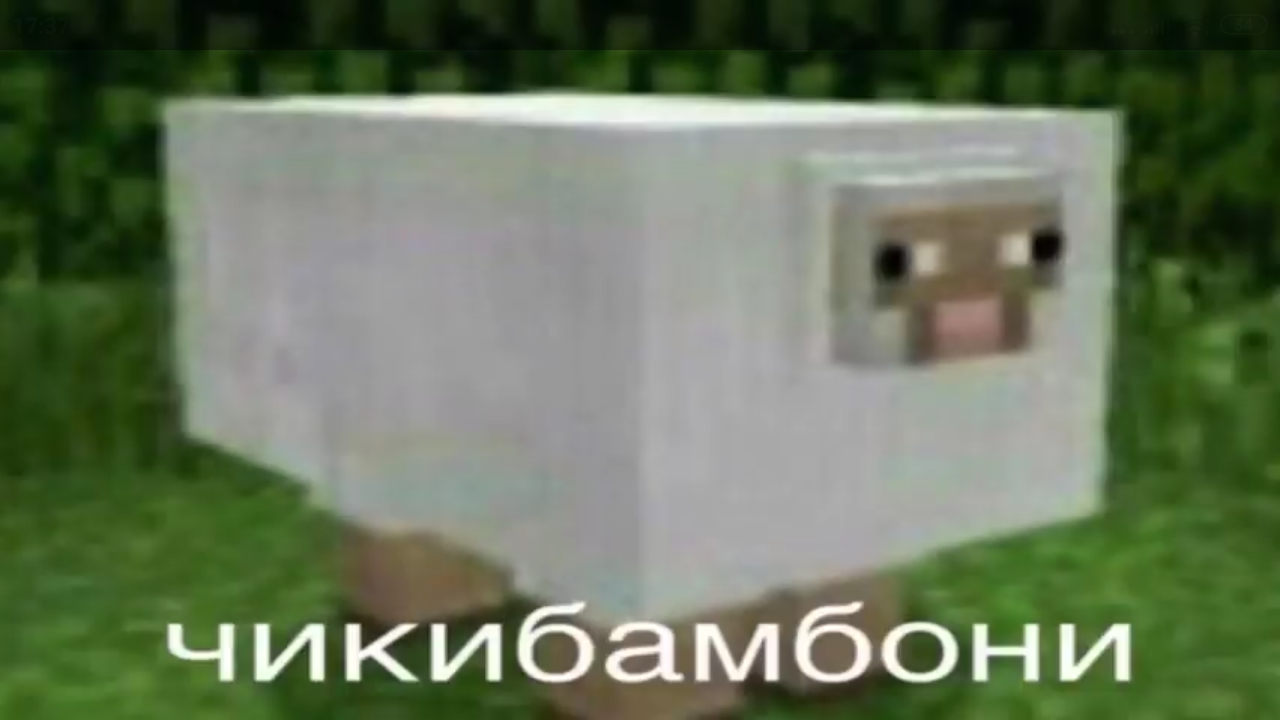 Чикибамбони | Чикипедия | Fandom