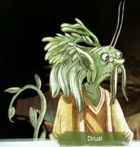 Drust