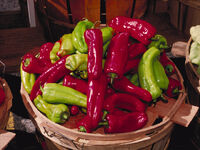 Cubanelle Peppers