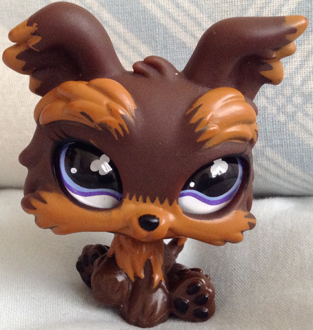 File:Yorki.png
