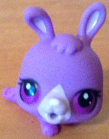 File:Violet.png