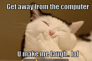 Laughing-cat