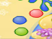 Cho Color Balls