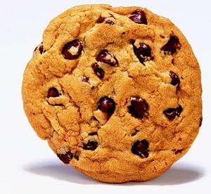 Chocolate chip cookies1