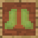 SlimeBoots