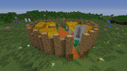 NPC Village 1