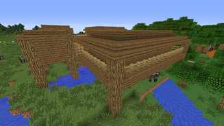 NPC Village 5