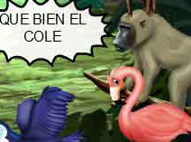 Niño flamenco