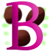 Recogible Bombardero