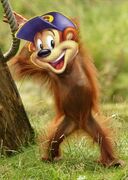 767 - Encon - Chocu