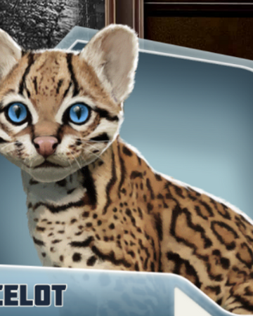 Ocelot Choices Stories You Play Wikia Fandom