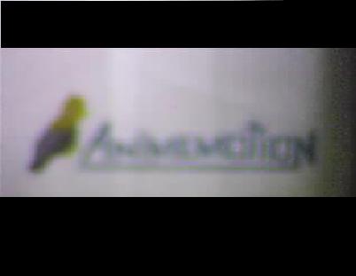 Animemotion tv