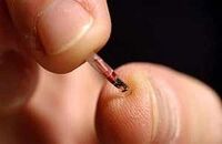 Biochip