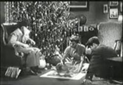 MiracleOzzieAndHarriett