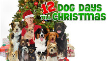 12DogDaysTillChristmas