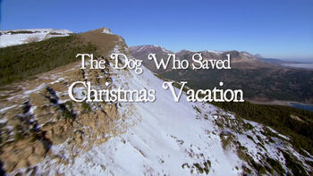 The Dog Who Saved Christmas Vacation | Christmas Specials Wiki | FANDOM