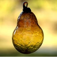 Amber-fruit