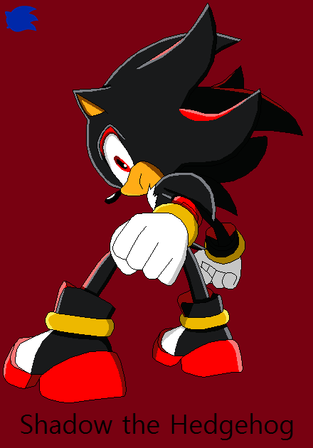 Shadow the Hedgehog | Chronicles of Illusion Wiki | FANDOM powered by Wikia