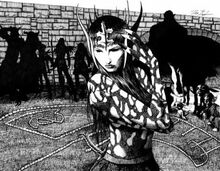 Codex Seelie Queen